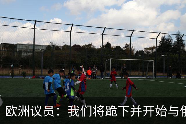 欧洲议员：我们将跪下并开始与俄谈判，这是我们自身愚蠢的结果